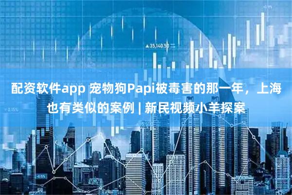 配资软件app 宠物狗Papi被毒害的那一年，上海也有类似的案例 | 新民视频小羊探案