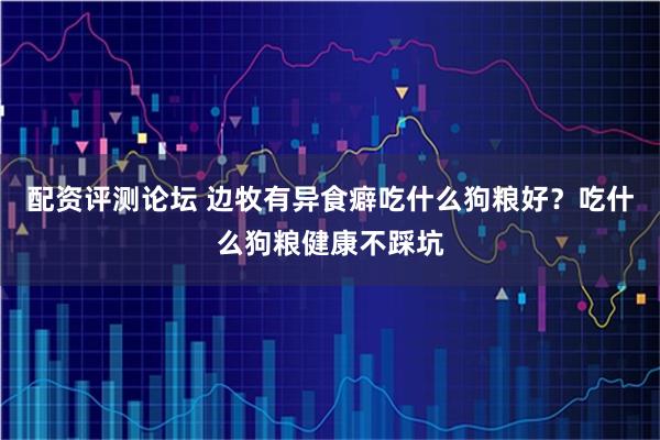 配资评测论坛 边牧有异食癖吃什么狗粮好?吃什么狗粮健康不踩坑