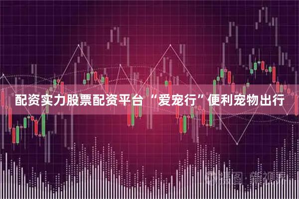 配资实力股票配资平台 “爱宠行”便利宠物出行